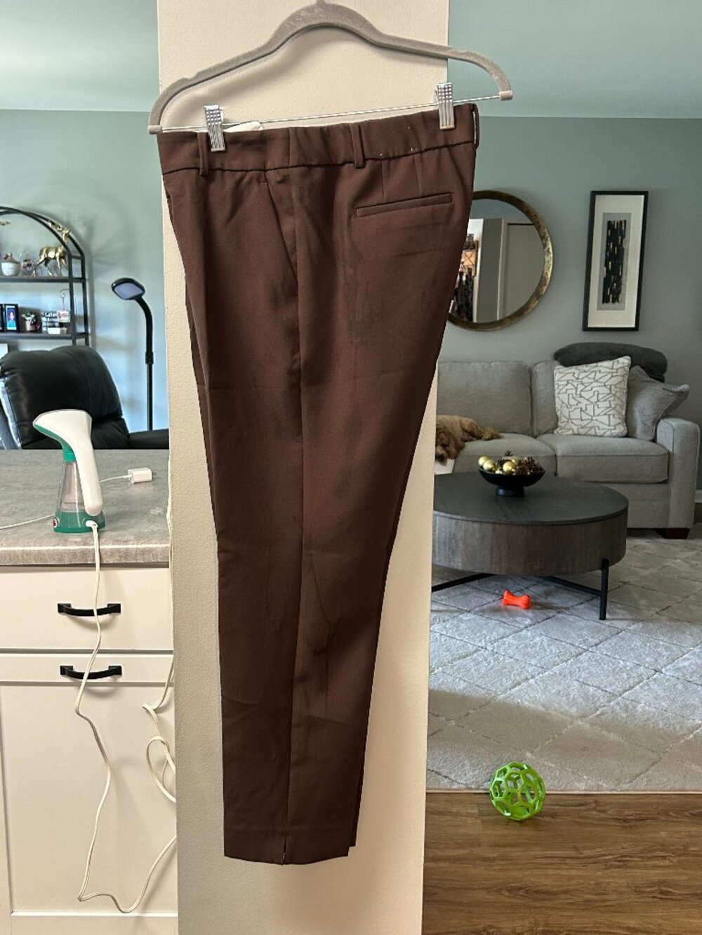 Dress Pants
